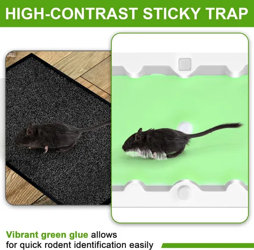 Miniatura 4 de Qualirey Paquete de 6 trampas de pegamento para ratón, trampas superadhesivas tamaño ratón para ratones y ratas, prearomatizadas, no tóxicas