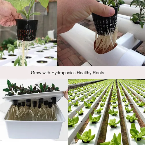 Miniatura 4 de ORIMERC Macetas de red de 4 pulgadas, paquete de 20 tazas de red con cuerda de riego automático de 20 pies y etiquetas para plantas, para acuapónica