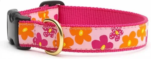 Up Country Sm Wide Flower Power Collar de liberación rápida