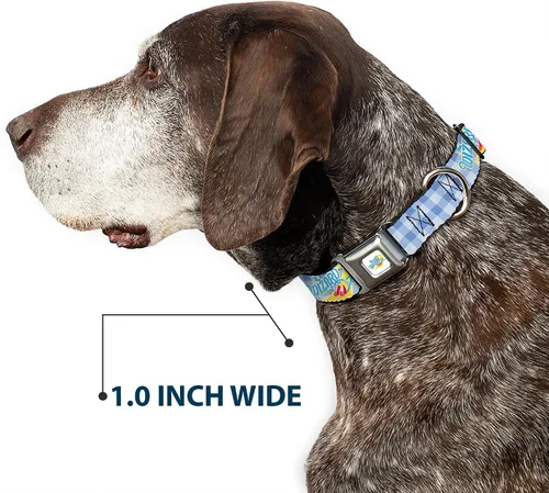 Miniatura 6 de Movies - Collar para mascotas, collar de perro con hebilla de cinturón de seguridad, logotipo del mago de Oz Gingham Checker Blues, 15 a 24