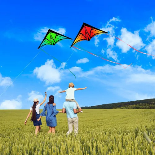 Miniatura 5 de Cometa Delta grande para niños y adultos, cometas al aire libre fáciles de volar para niños de 8 a 10 años, perfecta para actividades en la playa