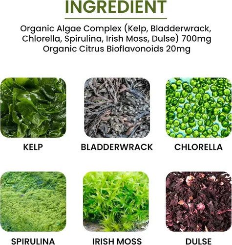 Miniatura 4 de Algas, Fucoidan, Algas Verde Azul, Algas Kelp, Vejiga, Clorella, Espirulina, Musgo Irlandés, Dulse, 90 VCaps, Alta Absorbibilidad, Sin OGM, Sin