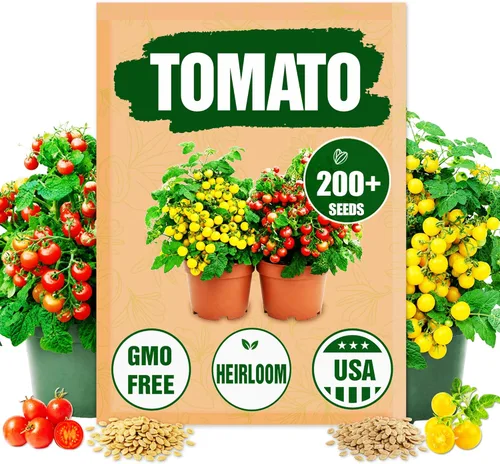 Dwarf Duo Tiny Tim Semillas de tomate – Más de 100 variedades de tomate enano rojo y más de 100 amarillo, semillas de tomate cherry para