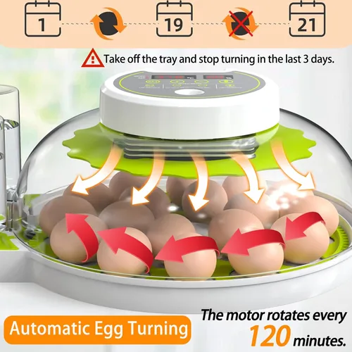 Miniatura 4 de Incubadora de huevos de 18/60 con pantalla de humedad, incubadoras para incubar huevos, vela de huevos, girador automático de huevos, incubadora
