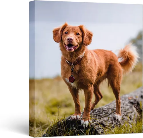 Miniatura 8 de WEGA Impresiones en lienzo personalizadas con tus fotos (6 pulgadas de ancho x 8 pulgadas de alto) lienzo personalizado para dormitorio, sala