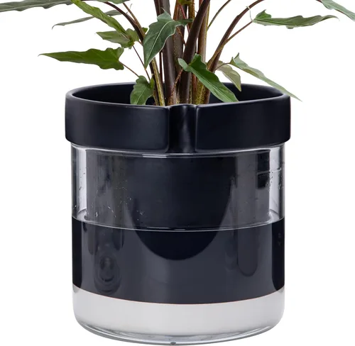 Miniatura 31 de Maceta Phoenix Vine de 6 Pulgadas con Riego Automático, Maceta de Arcilla Terracota con Reservario de Vidrio para Plantas de Interior, Hierbas