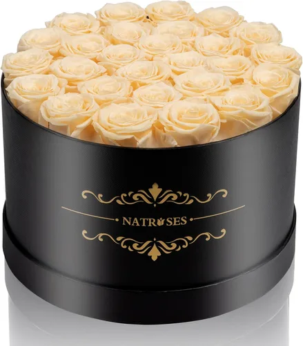 NATROSES 27 Rosas Preservadas para Siempre en una Caja, Flores Preservadas para Entrega de Cumpleaños, para Mamá, Buttermilk Suero de mantequilla