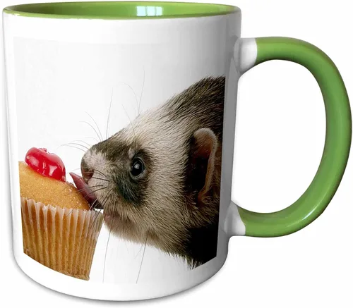 Miniatura 10 de 3dRose mug_17288_4 Hurón Eating Cupcake - Taza negra de dos tonos, multicolor, 11 onzas Blanco
