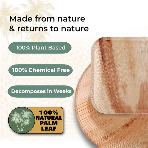Miniatura 8 de Indie Palm Platos desechables de hoja de palma, paquete de 50 unidades, cuadrados de 8 pulgadas, resistentes, 100% compostables y biodegradables