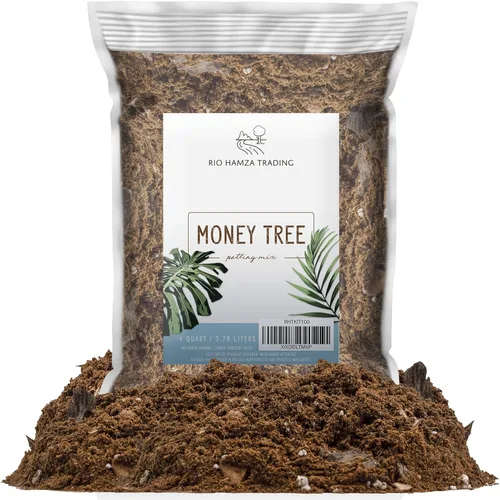 Miniatura 7 de Suelo de cultivo de hierba para gatos (4 cuartos de galón), tierra para comenzar y cultivar hierba para gatos, fibra de coco suelta para cultivar