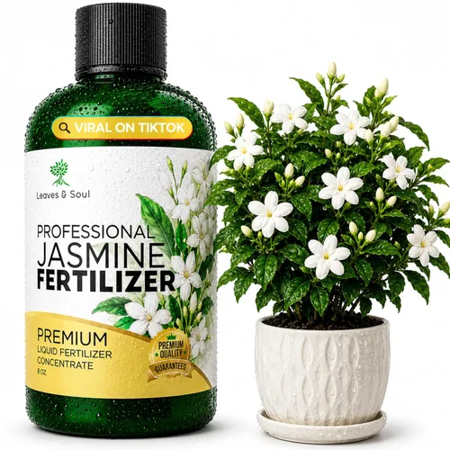Fertilizante profesional de jazmín líquido 3-1-2 concentrado de 8 onzas, fertilizante de plantas de jazmín premium para interiores y exteriores,