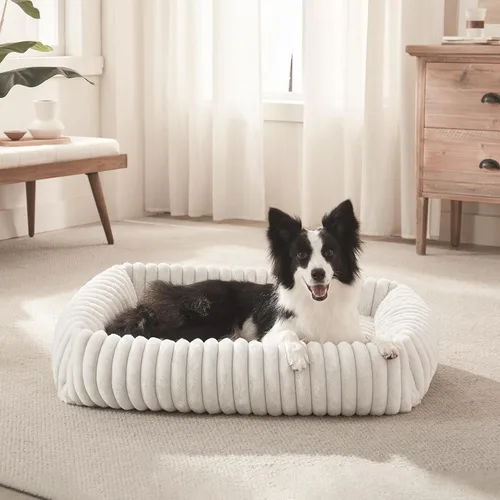 Miniatura 14 de FURTIME Cama para perros de tamaño mediano, cama ortopédica lavable para mascotas con funda extraíble, rectangular, suave, relajante, para Beige