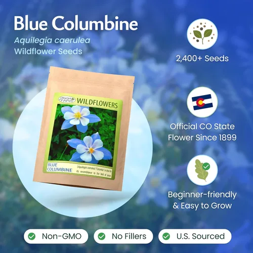 Miniatura 3 de Created By Nature Blue Columbine Flower Seeds, 2,400 semillas perennes, flor del estado de Colorado