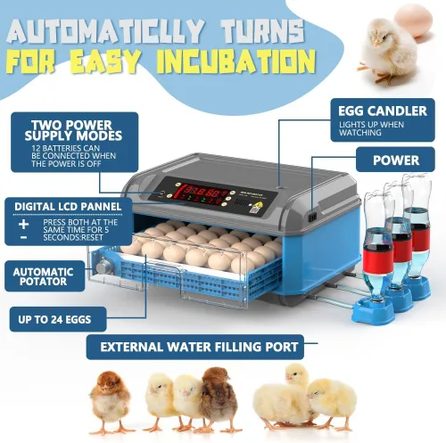 Miniatura 5 de Incubadora automática de huevos de gallina 16-24 e incubadoras de pavo para incubar huevos Incubadora de huevos de aves de corral de granja con giro