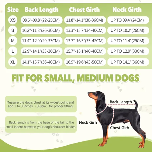Miniatura 7 de Pañales para perros, mameluco de período para hembras, bragas sanitarias para perras, pañales térmicos para perros pequeños y medianos, puntos