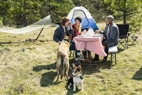Miniatura 6 de Stansport Paquete combinado de manteles de picnic con abrazaderas