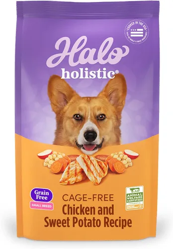Halo Holistic - Alimento para perros de raza pequeña, receta de pollo y batata sin jaula, alimento seco para perros sin granos, salud digestiva