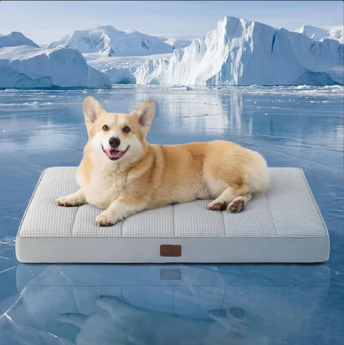 Miniatura 64 de Bedsure Camas para Perros Tamaño Grande - Cómodas Camas Planas para Mascotas con Funda Lavable Extraíble, Alfombrilla de Espuma Ortopédica