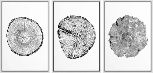 Miniatura 159 de wall26 Lienzo enmarcado para pared, juego de arte impreso con collage de polígonos en espiral negro y tostado, ilustraciones de patrones abstractos