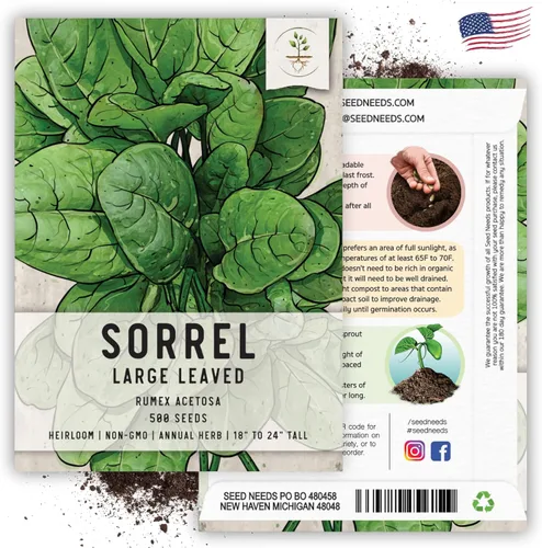 Miniatura 6 de Seed Needs, Semillas de acedera de hoja grande, 500 semillas tradicionales para plantar Rumex acetosa, hierba medicinal o culinaria sin OMG y sin