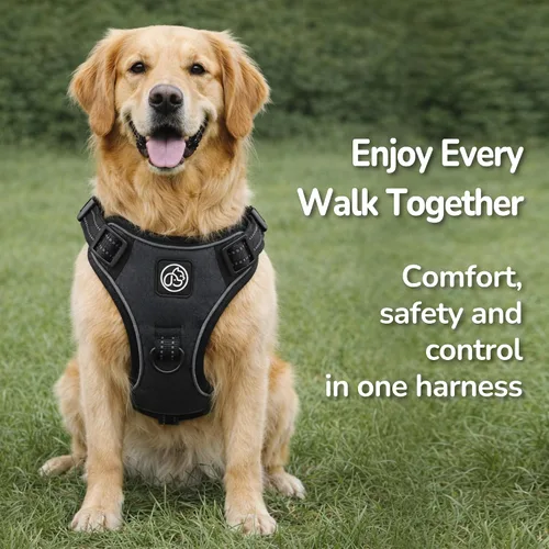 Miniatura 9 de EVERKING Arnés de chaleco sin tirones con asa, arnés ajustable impermeable con 4 hebillas, clip reflectante frontal y trasero para perros pequeños