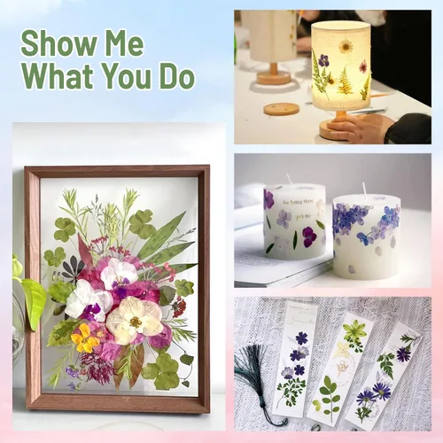 Miniatura 7 de Suziko Kit de prensa de flores grande para adultos y niños, 10.8 x 6.9 pulgadas, kit de preservación de plantas de flores, arte y manualidades
