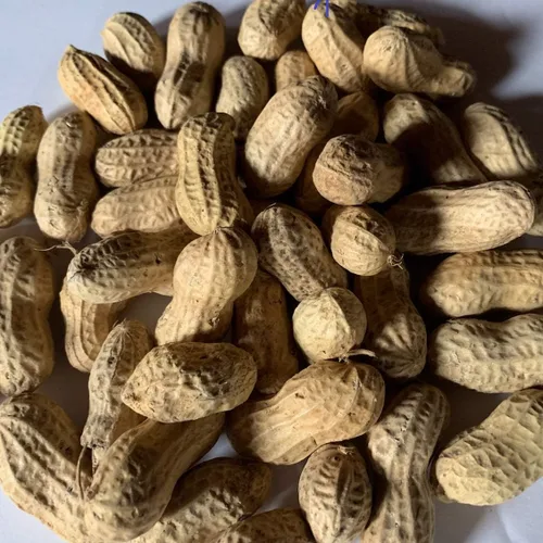 Miniatura 2 de Alimento para aves de maní (en la cáscara) (4 lb)