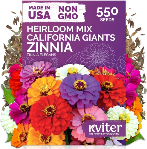 Miniatura 22 de KVITER 25 semillas de algodón blanco para plantar (Gossypium hirsutum) – Planta de algodón real, semillas de algodón para cultivo, semillas
