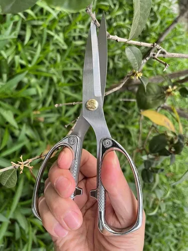 Miniatura 5 de Tijeras para plantas de interior, tijeras para recortar brotes, Japón SK5 Tijeras florales de acero inoxidable, flores, hierbas y cortadores