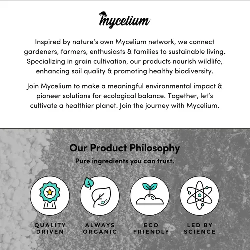 Miniatura 8 de Mycelium Kit de cultivo de hongos Plus I Sustrato CVG (fibra de coco, vermiculita, yeso) Mezcla patentada para cultivo de alto rendimiento, bolsa