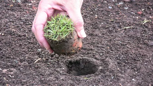 Miniatura 7 de Herramientas para plantación Proplugger 5 en 1 para césped y huerta