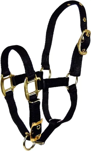 Hamilton Caballo de lujo Halter, nailon de triple capa de 3/4 pulgadas con correa ajustable para la barbilla, potro o mini caballo, 100-200 libras,