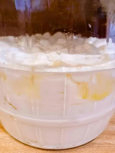 Miniatura 3 de POSEYMOM Granos de kéfir de leche Cultivo iniciador de bebidas saludables privobióticas fermentadas de bricolaje 1 cucharada colmada de granos