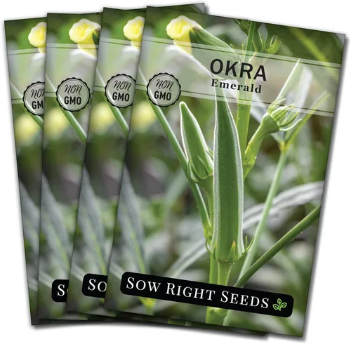 Miniatura 9 de Sow Right Seeds - Semillas de okra esmeralda para plantar - Paquete de reliquia sin OMG con instrucciones para plantar un huerto casero - Cápsulas