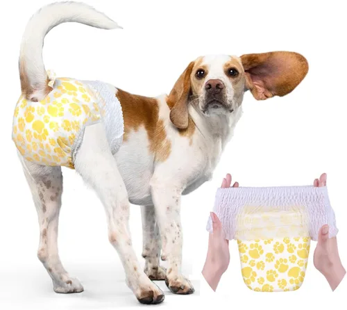 Dono Pañales para perros hembra con cintura elástica - 24 unidades, pañales desechables de envoltura completa para cachorros en período de calor,