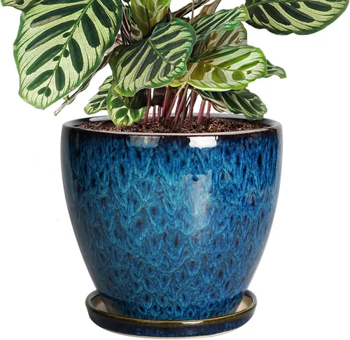 Miniatura 17 de Maceta para Plantas de 6.8 Pulgadas - Maceta de Cerámica con Orificio de Drenaje y Platillo, Maceta Redonda Moderna para Flores, Macetas