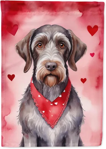 Miniatura 9 de Caroline's Treasures DAC5292CHF - Bandera de Border Collie My Valentine House para porche, grande, con manga para porche, para colgar en la pared