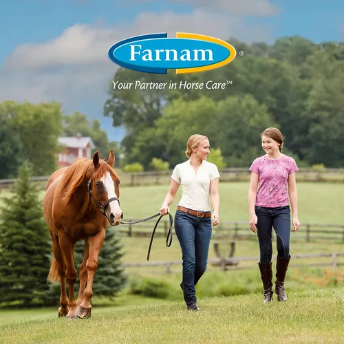 Miniatura 8 de Farnam Horseshoer's Secret Suplemento de biotina de pezuña y tejido conectivo extra fuerte con aminos para pezuñas fuertes y saludables, tendones