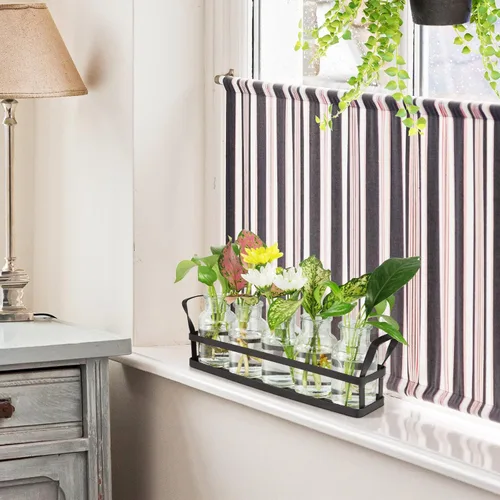 Miniatura 4 de Estaciones de propagación para decoración de interiores, terrario con soporte, maceta de propagación de vidrio con 5 plantas de aire, terrario