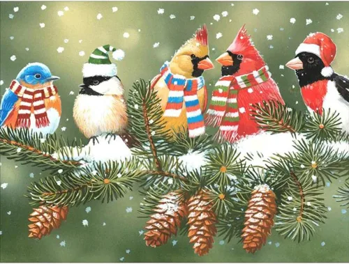 Stalente Kits de pintura de diamantes para adultos, pintura de diamantes de Navidad, pájaros de arte de diamantes, bricolaje 5D redondo, kit de arte