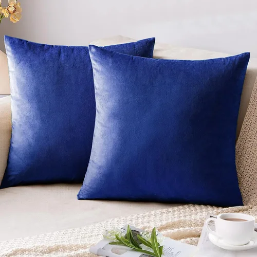 Miniatura 10 de AUSSPVOCT Ative - Juego de 2 fundas de almohada de terciopelo suave, 12 x 20 pulgadas, fundas de cojín cuadradas para sofá, cama, automóvil, sala