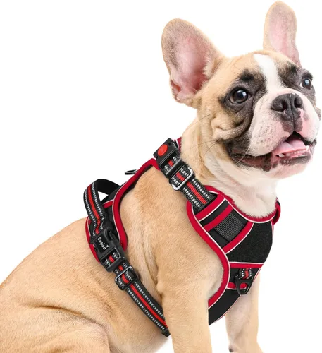 Miniatura 22 de Eagloo Arnés para perro de tamaño pequeño, fácil de llevar con 3 hebillas, arnés ajustable sin tirones para mascotas con sistema MOLLE, chaleco