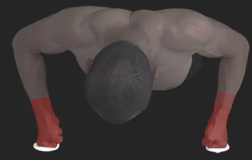Miniatura 3 de Entrenamiento de levantamiento de puños para músculos gruesos del antebrazo y muñeca estable. Entrenamiento de flexiones para fuerza de brazo