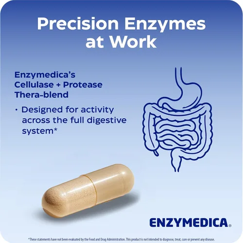 Miniatura 5 de Enzymedica Candidasa, enzimas para un apoyo de limpieza suave para hombres y mujeres, mezclado para la salud intestinal y microbioma con celulasa