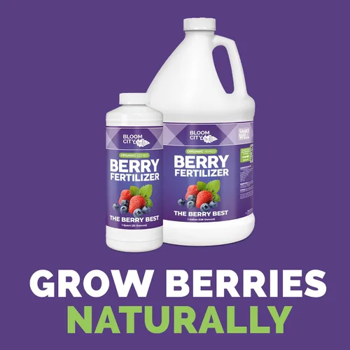 Miniatura 2 de Bloom City 's Organic Berry Best - Fertilizante de arándanos y fresas, bayas orgánicas, galón (128 onzas)