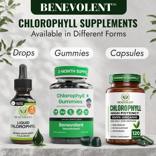 Miniatura 9 de Benevolent - Cápsulas de clorofila de 350 mg - 100% natural + ultra clorofila concentración de potencia 20x para impulso de energía, apoyo