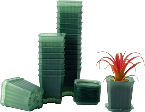 Macetas de vivero transparentes verdes de 3 pulgadas de Foxany, 30 piezas de maceta de plástico grueso, paquete variado de macetas cuadradas para