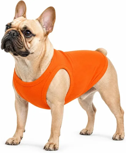 Miniatura 48 de Lovelonglong Ropa para mascotas de verano 2019, ropa para perro, camisetas en blanco, camisetas acanaladas, chalecos de hilo superior para perros