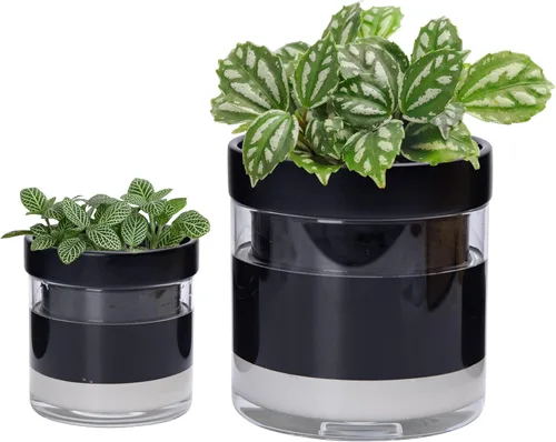 Miniatura 9 de Maceta Phoenix Vine de 6 Pulgadas con Riego Automático, Maceta de Arcilla Terracota con Reservario de Vidrio para Plantas de Interior, Hierbas