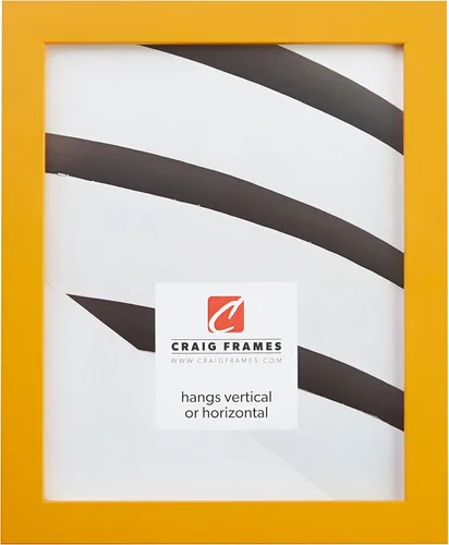 Craig Frames - Marco de fotos, madera maciza, acabado compuesto liso, 0.875 pulgadas de ancho, disponible en una variedad de colores divertidos